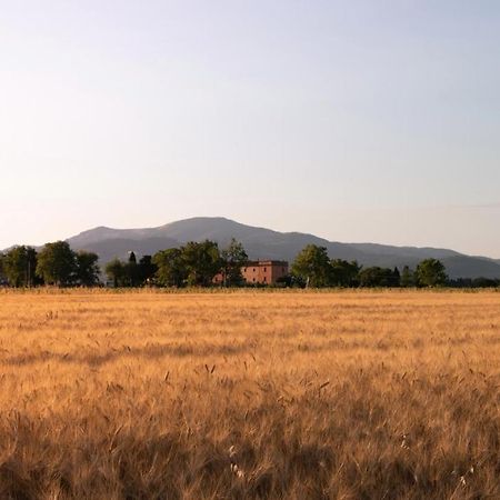 Agriturismo Il Pescinone 宛图里那 外观 照片