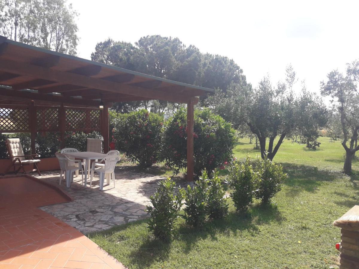 Agriturismo Il Pescinone 宛图里那 外观 照片