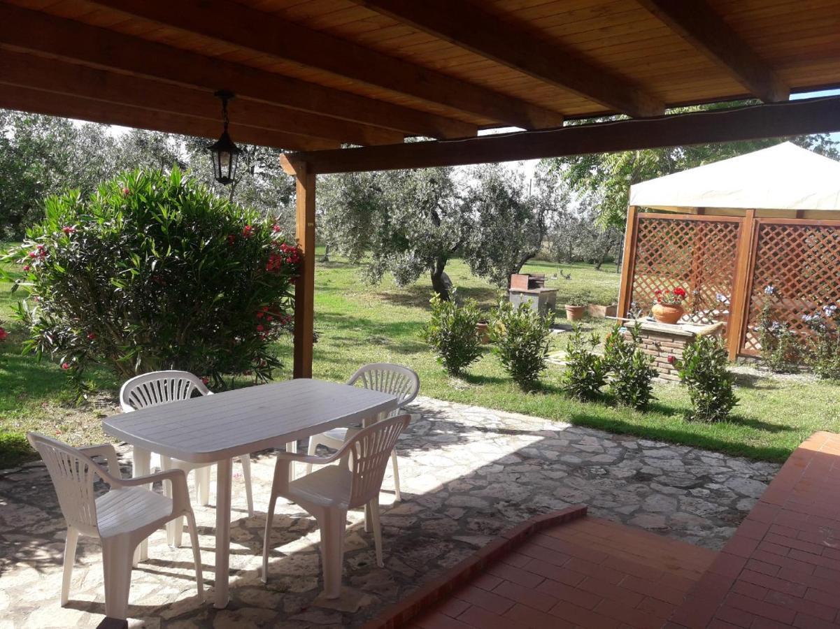 Agriturismo Il Pescinone 宛图里那 外观 照片