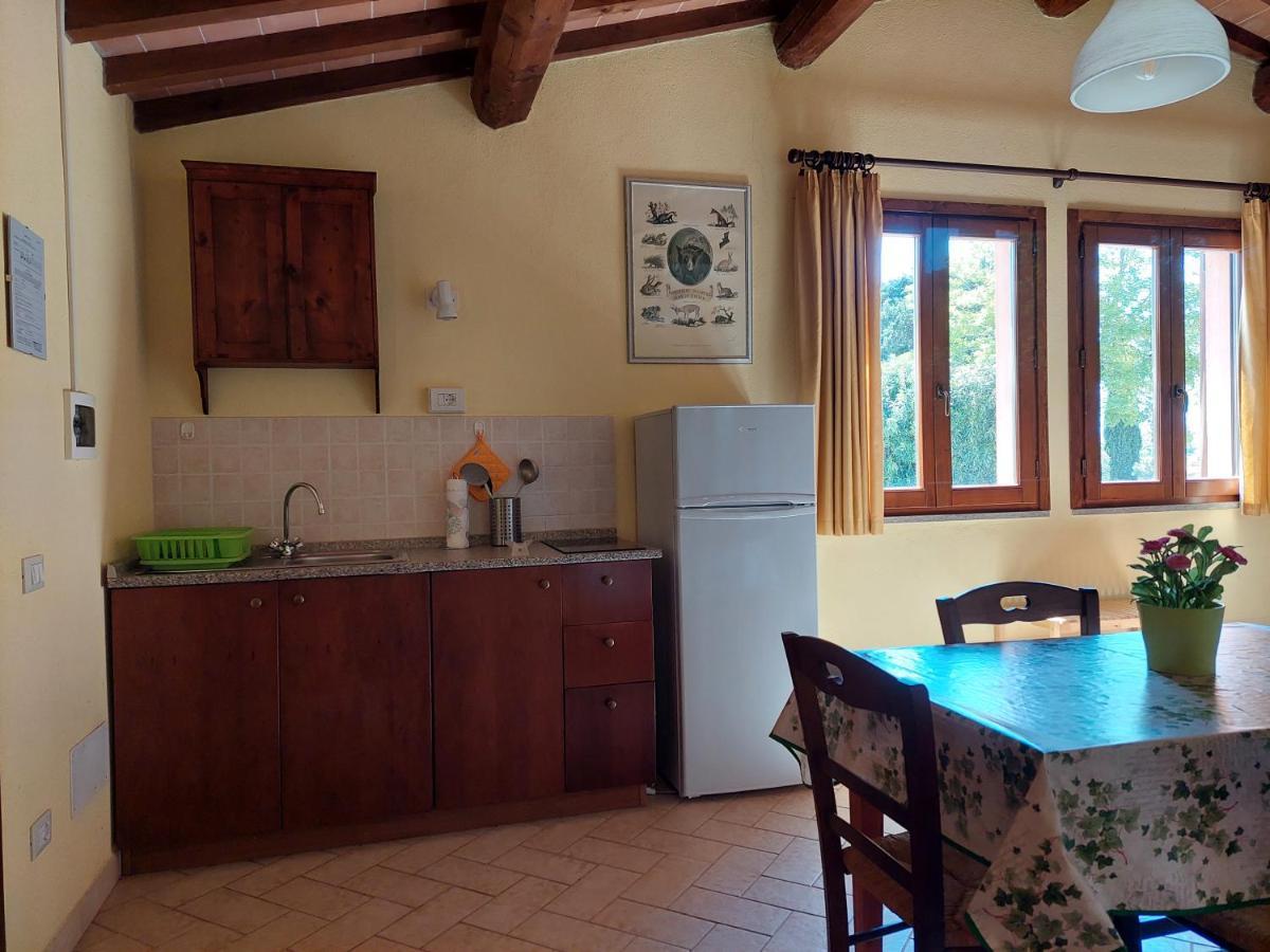 Agriturismo Il Pescinone 宛图里那 外观 照片