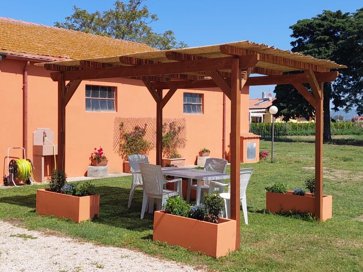 Agriturismo Il Pescinone 宛图里那 外观 照片