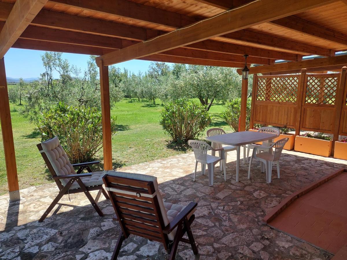 Agriturismo Il Pescinone 宛图里那 外观 照片