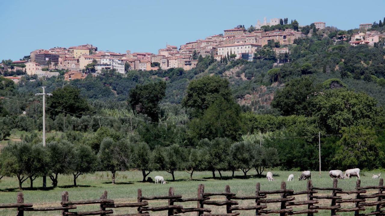 Agriturismo Il Pescinone 宛图里那 外观 照片
