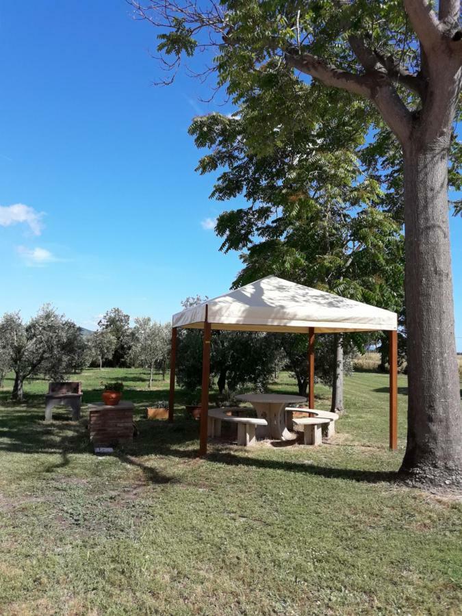 Agriturismo Il Pescinone 宛图里那 外观 照片