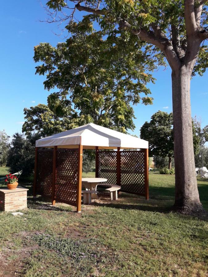 Agriturismo Il Pescinone 宛图里那 外观 照片