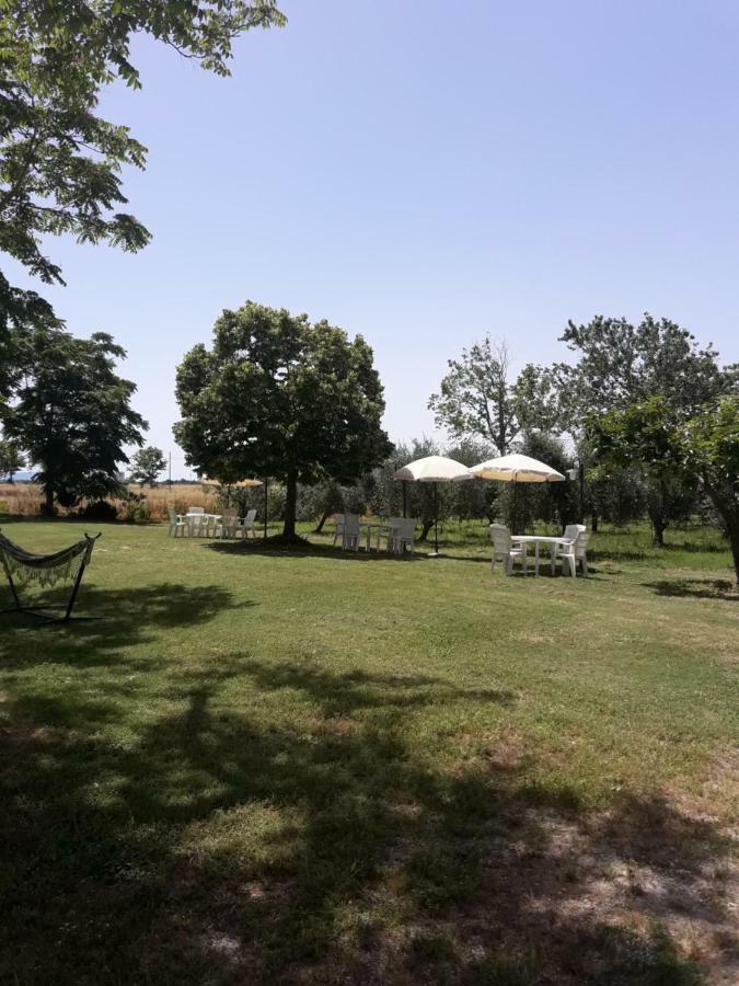 Agriturismo Il Pescinone 宛图里那 外观 照片