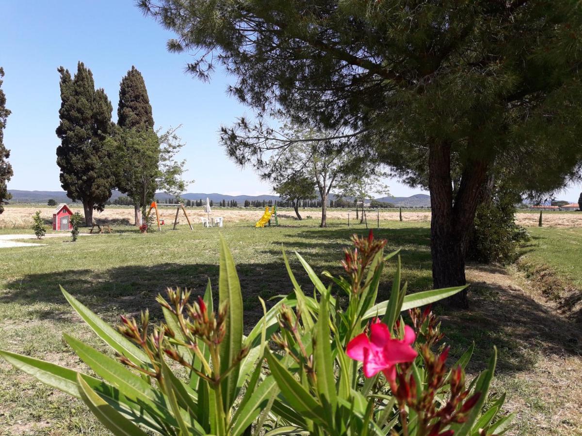 Agriturismo Il Pescinone 宛图里那 外观 照片