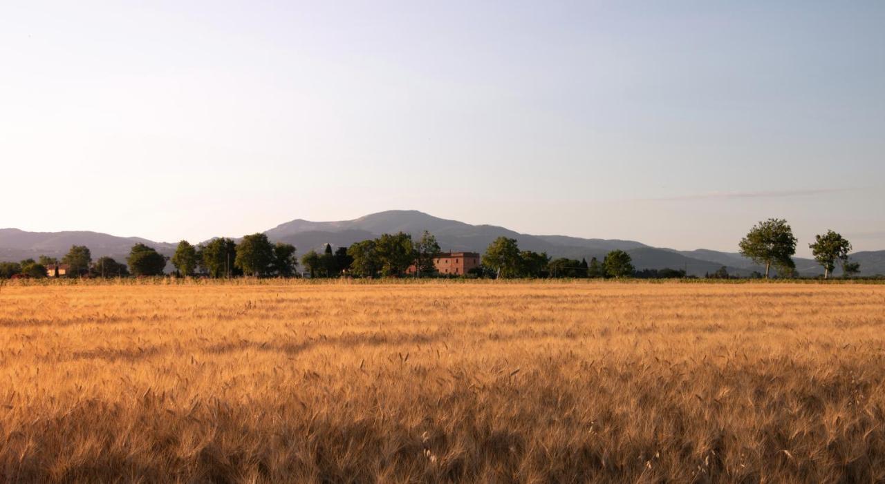 Agriturismo Il Pescinone 宛图里那 外观 照片